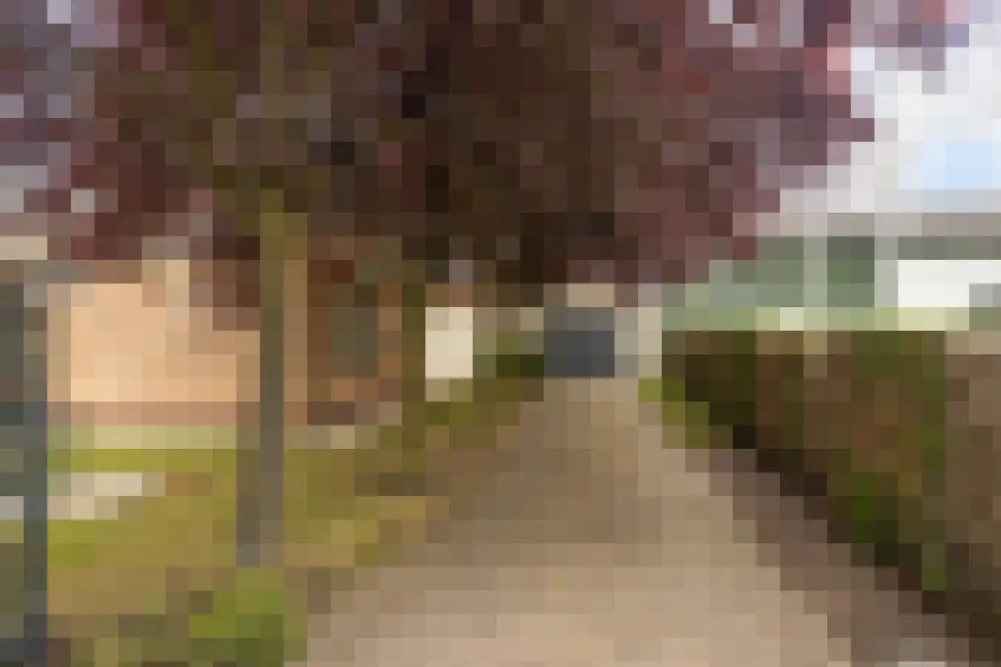 Enkweg 1 Vorden thumbnail 29