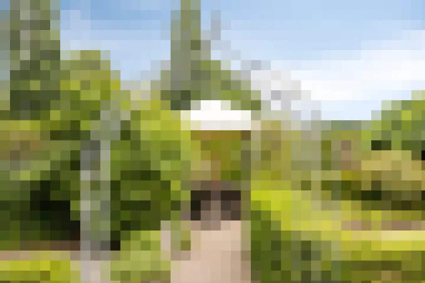Enkweg 1 Vorden thumbnail 34