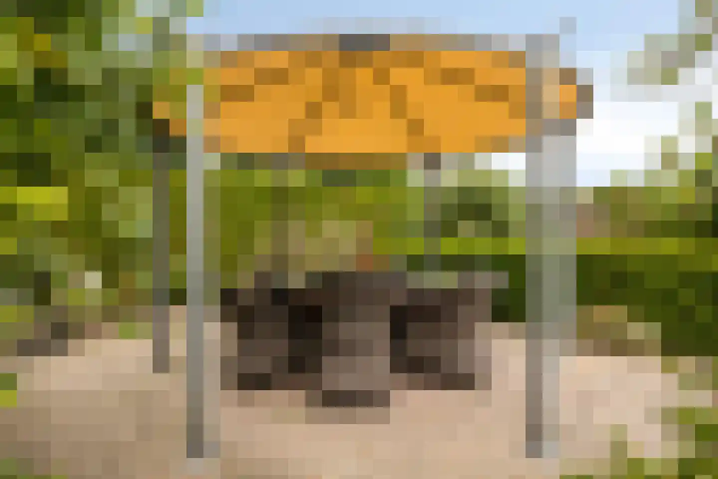 Enkweg 1 Vorden thumbnail 35