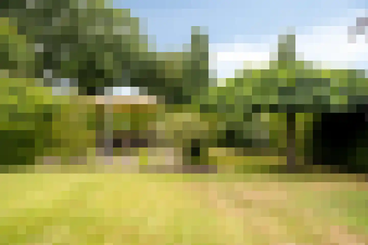 Enkweg 1 Vorden thumbnail 36