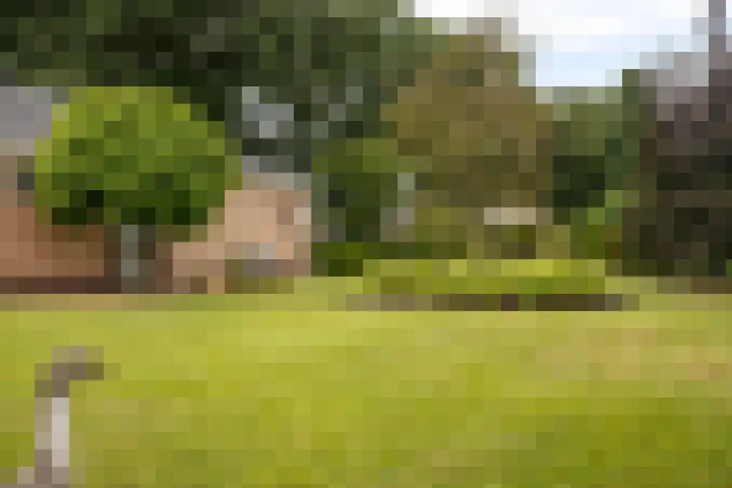 Enkweg 1 Vorden thumbnail 42