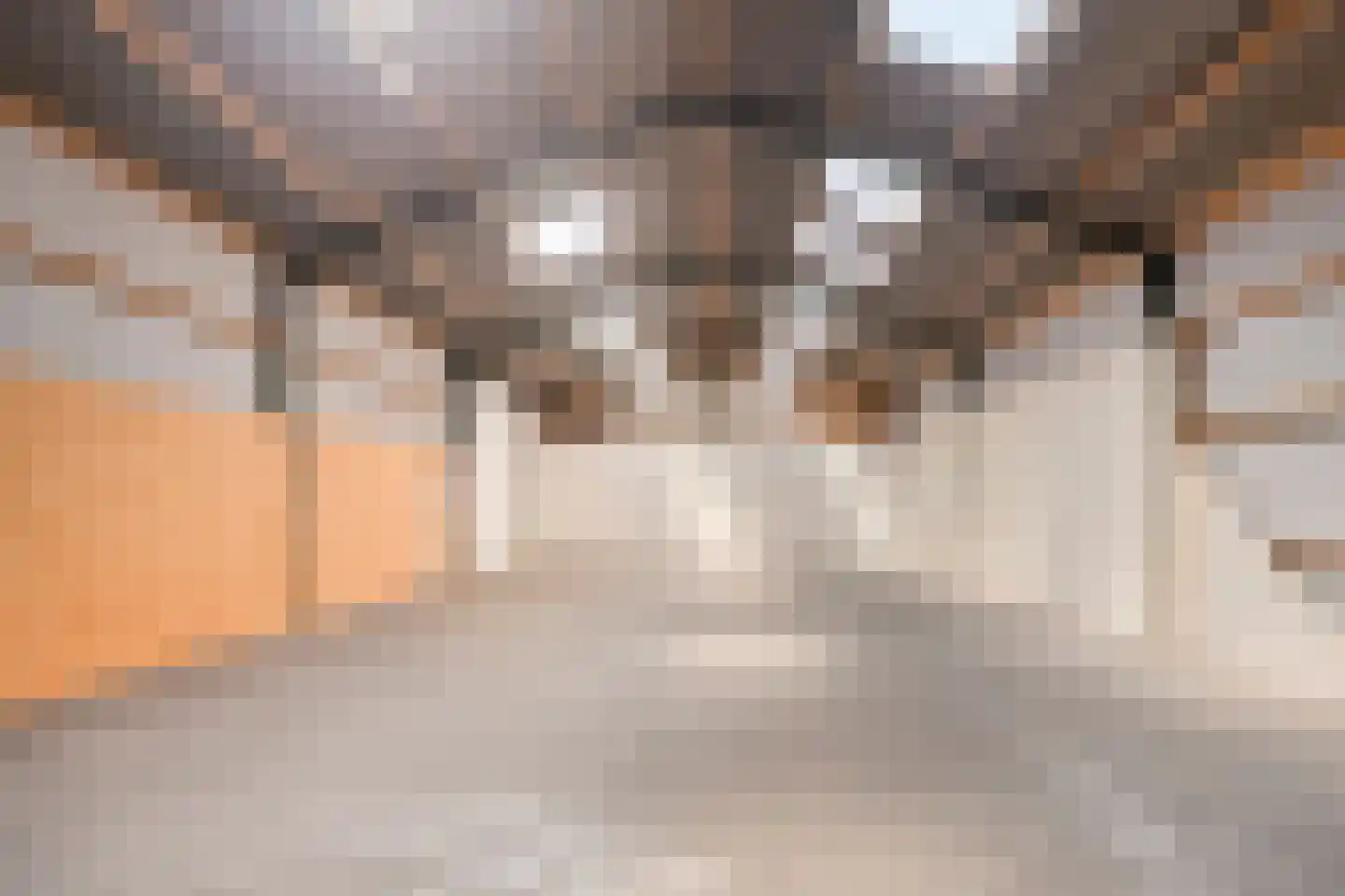 Enkweg 1 Vorden thumbnail 51