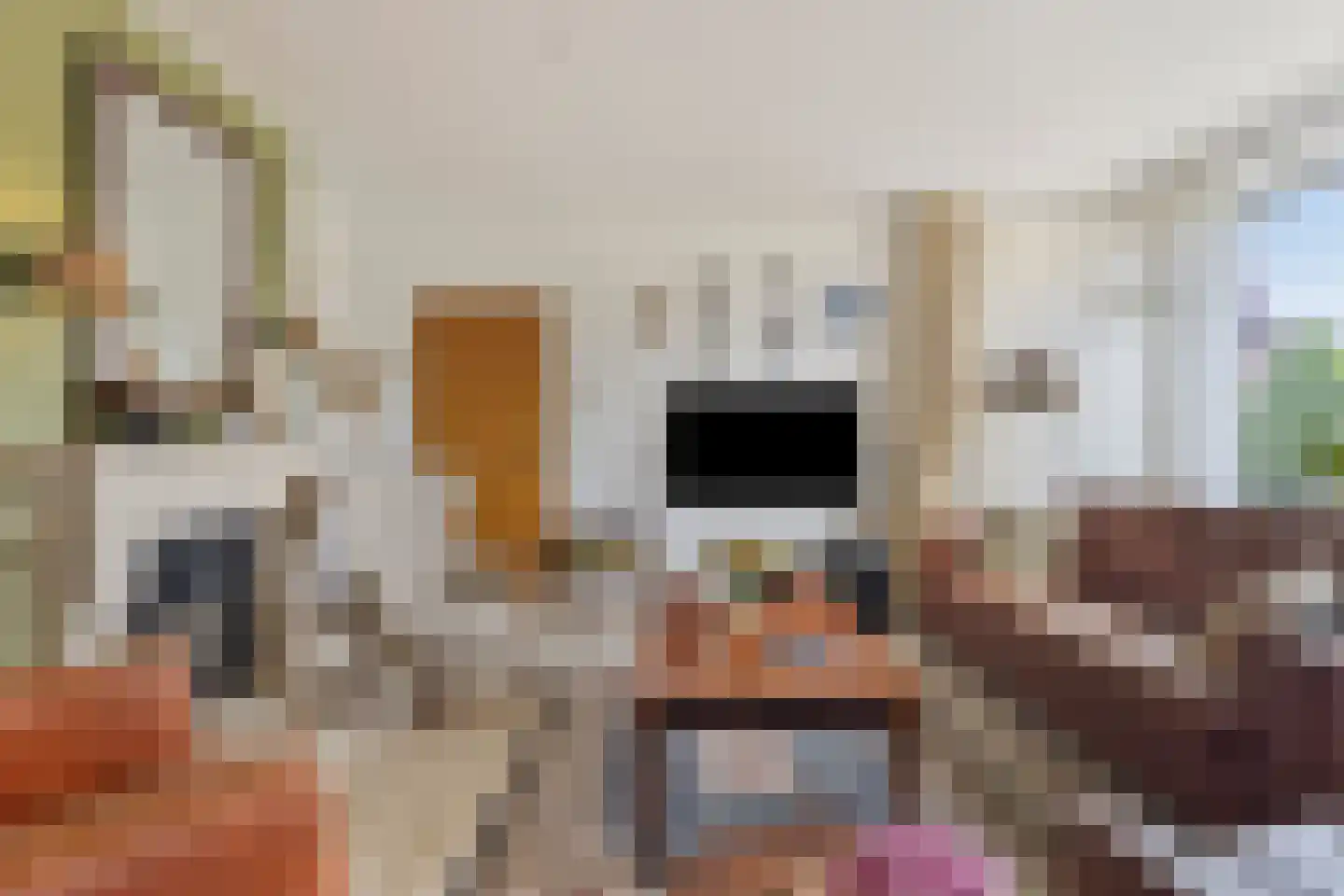 Enkweg 1 Vorden thumbnail 8