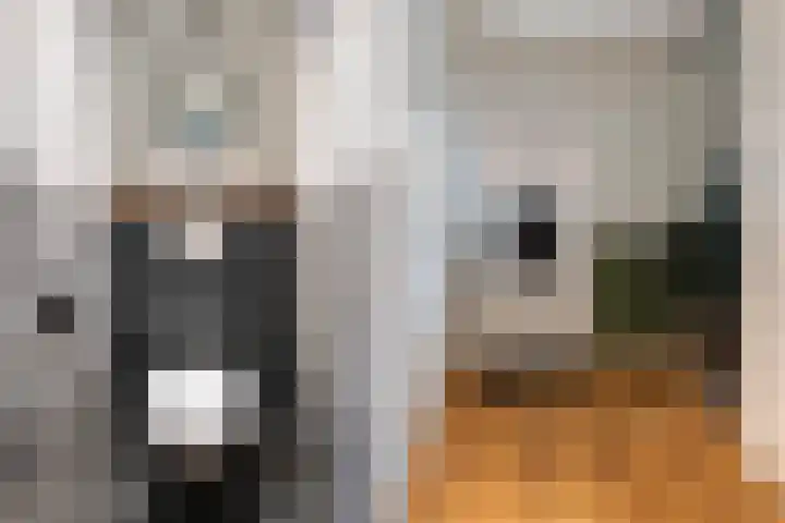 Enkweg 12 Olst thumbnail 13