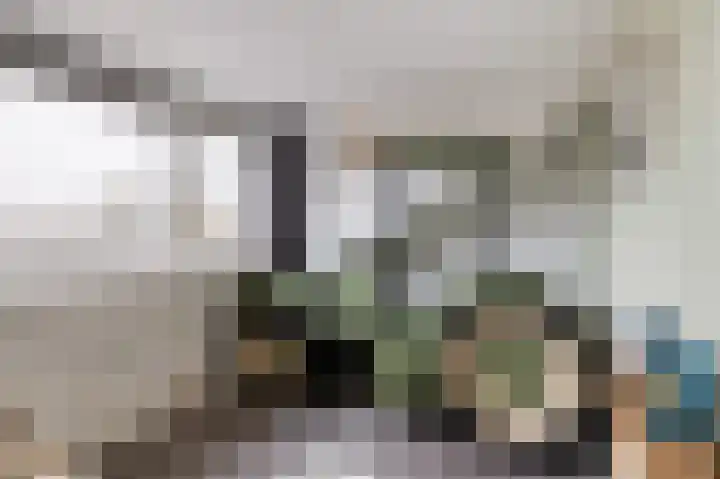 Enkweg 12 Olst thumbnail 21