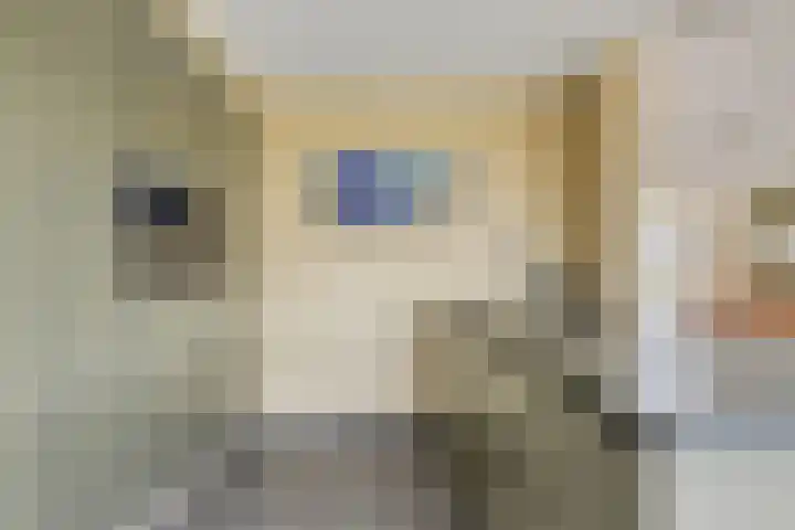Enkweg 14 A Wilp thumbnail 13