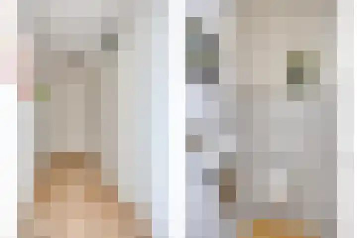 Enkweg 14 A Wilp thumbnail 18