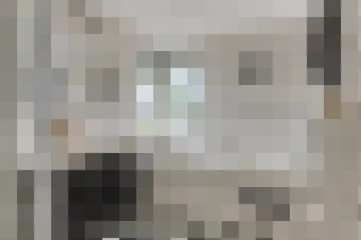 Enkweg 14 A Wilp thumbnail 28