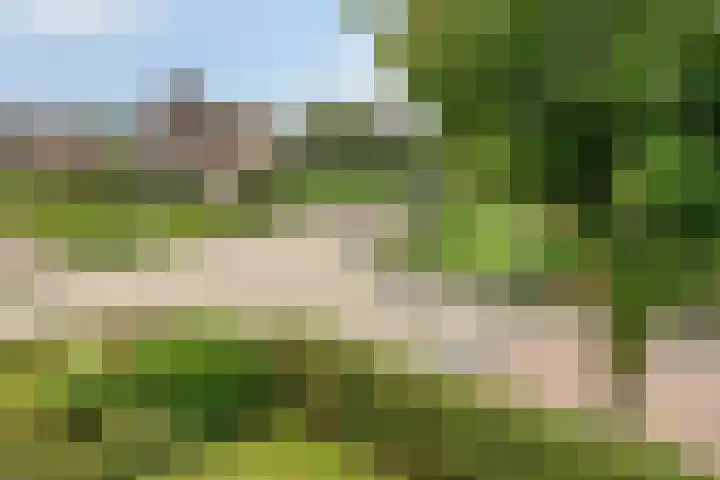 Enkweg 14 A Wilp thumbnail 31
