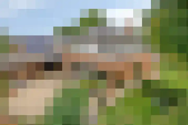 Enkweg 14 A Wilp thumbnail 33