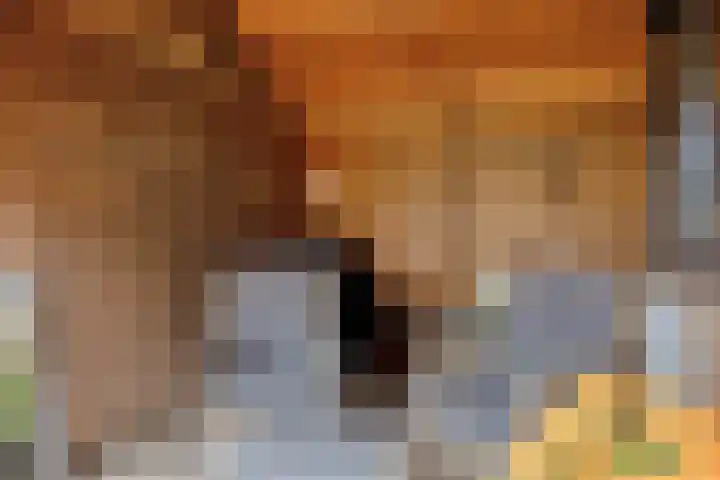 Enkweg 14 A Wilp thumbnail 38