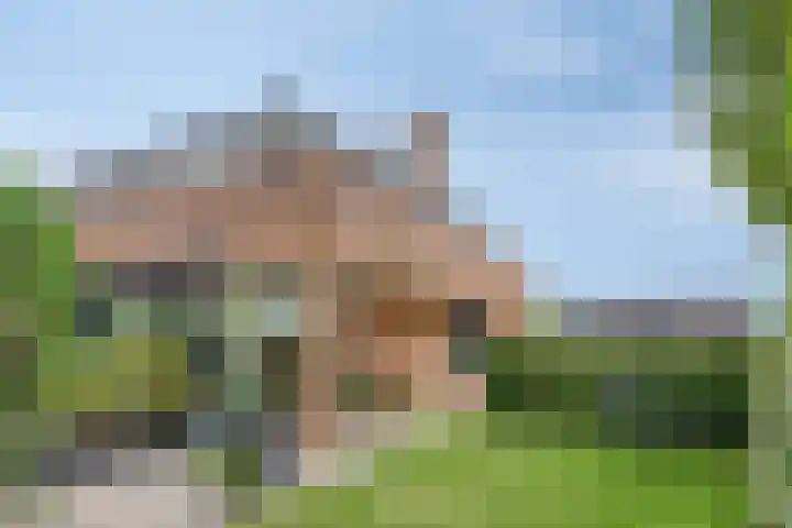 Enkweg 14 A Wilp thumbnail 40