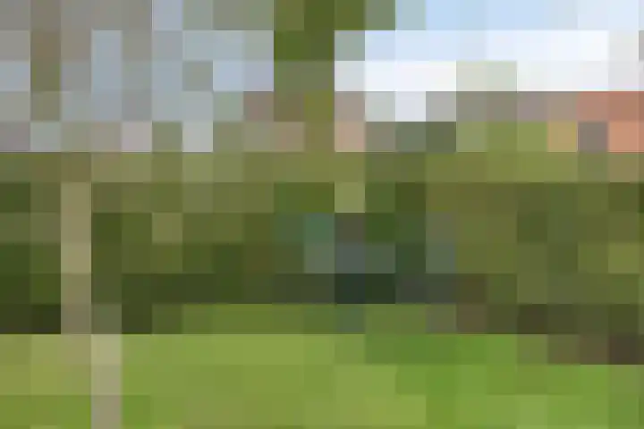Enkweg 14 A Wilp thumbnail 41