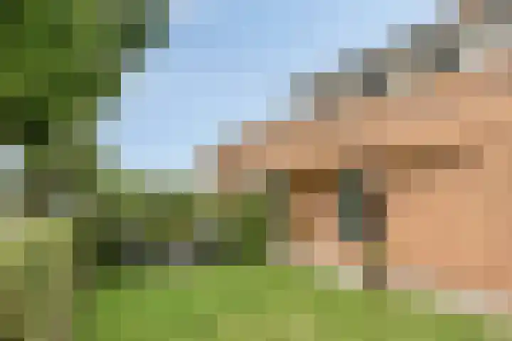 Enkweg 14 A Wilp thumbnail 44