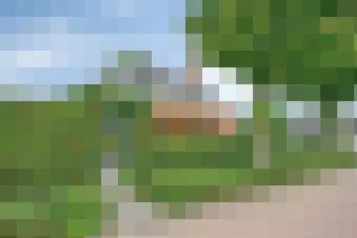 Enkweg 14 A Wilp thumbnail 45