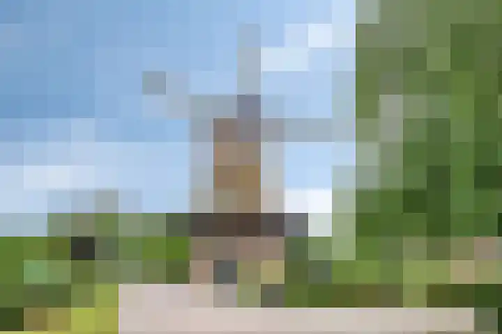 Enkweg 14 A Wilp thumbnail 50