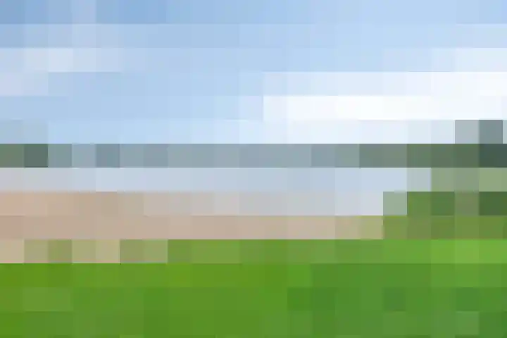 Enkweg 14 A Wilp thumbnail 51
