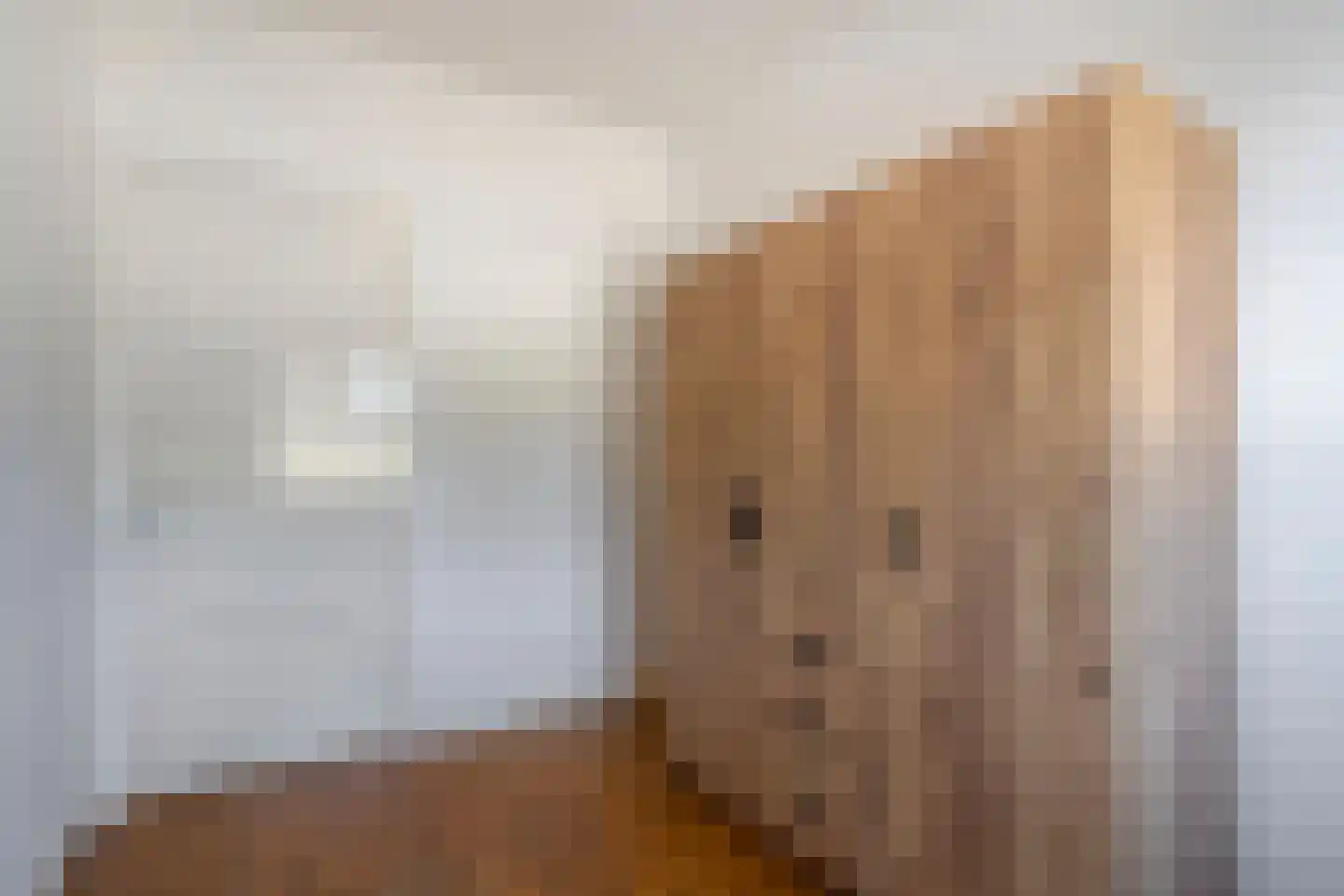 Enkweg 15 Vorden thumbnail 21