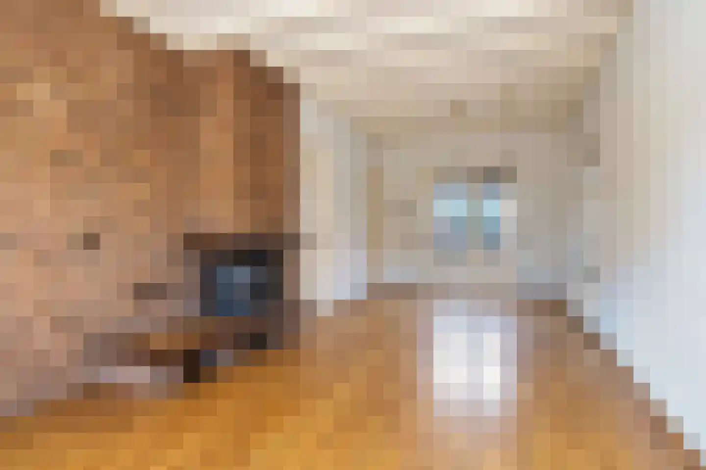 Enkweg 15 Vorden thumbnail 6