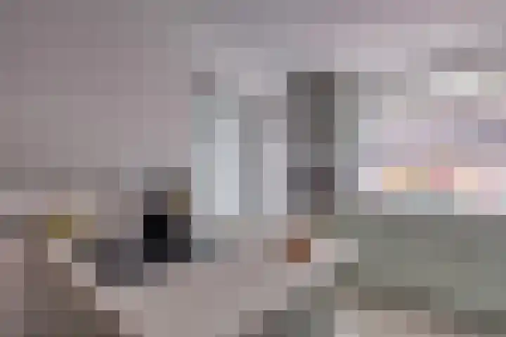 Enkweg 16 Dieren thumbnail 11