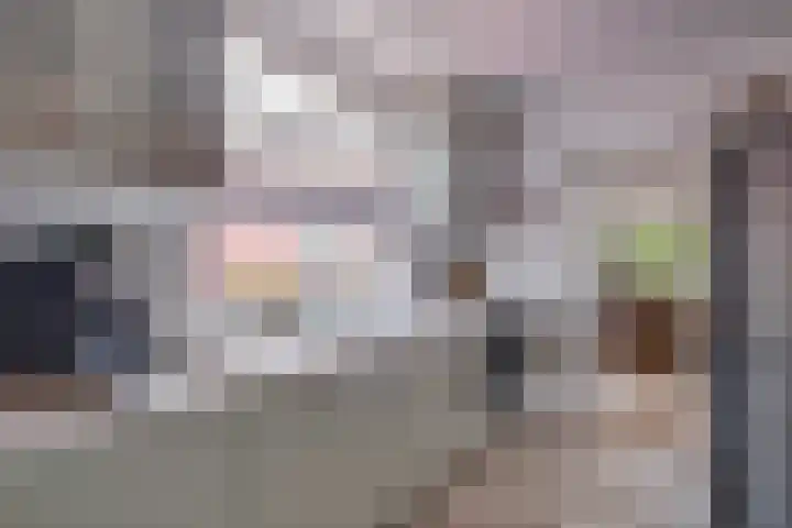 Enkweg 16 Dieren thumbnail 12