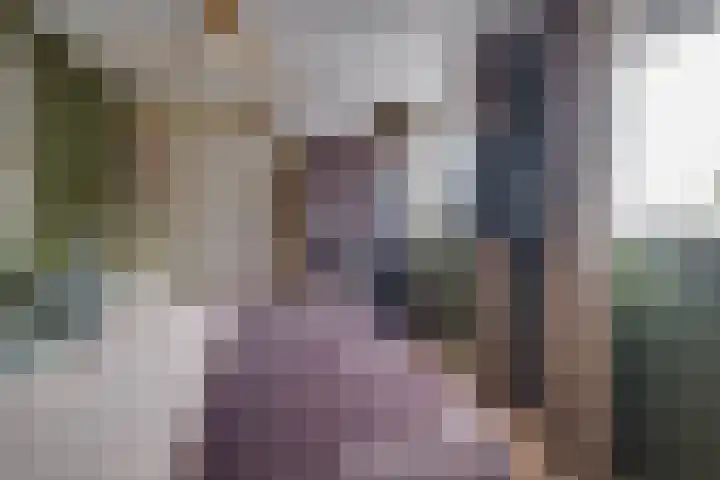 Enkweg 16 Dieren thumbnail 19