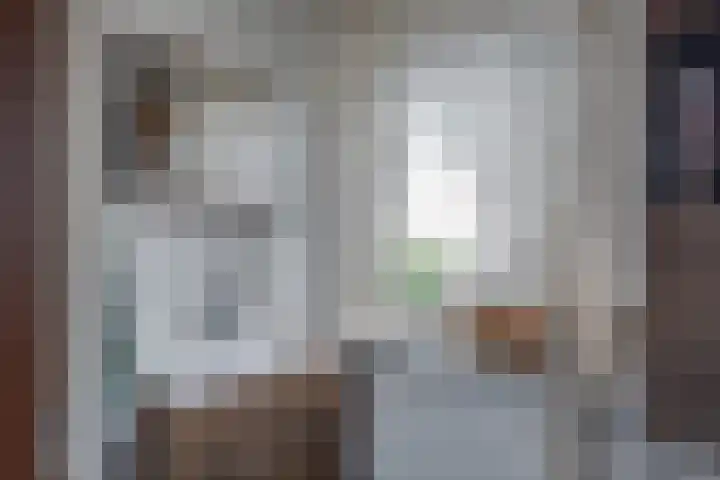 Enkweg 16 Dieren thumbnail 20