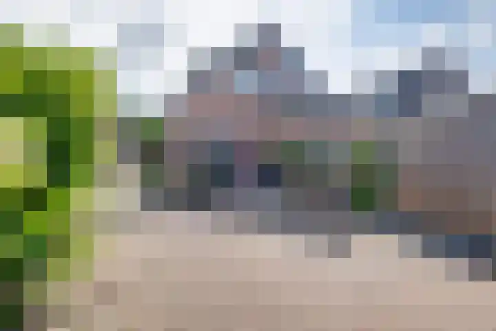 Enkweg 16 Dieren thumbnail 24