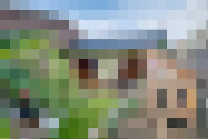 Enkweg 16 Dieren thumbnail 27