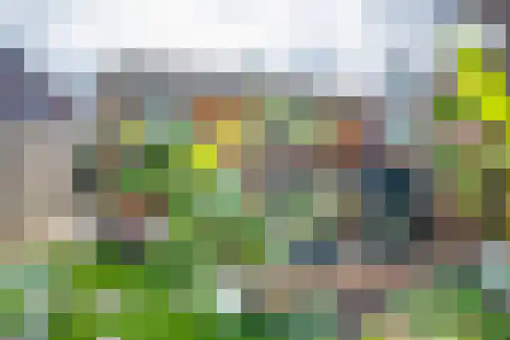 Enkweg 16 Dieren thumbnail 28