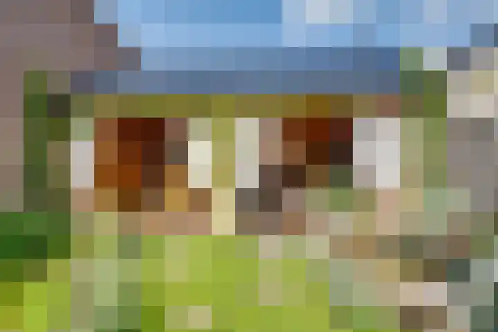 Enkweg 16 Dieren thumbnail 29