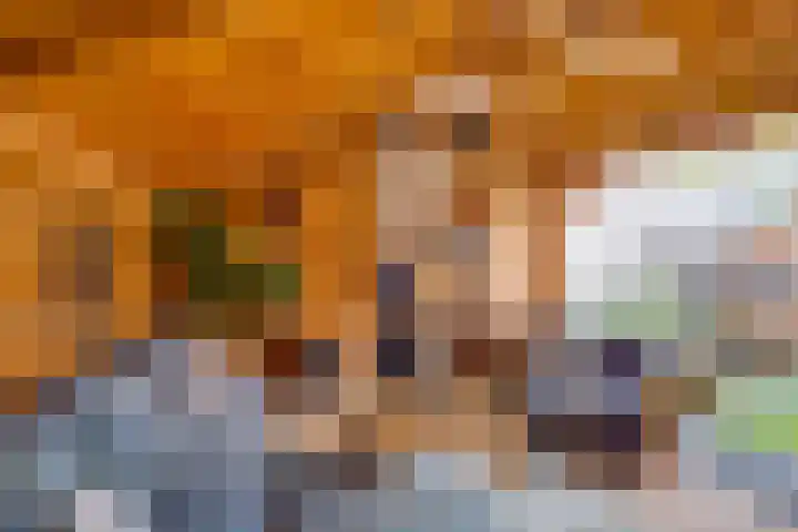 Enkweg 16 Dieren thumbnail 32
