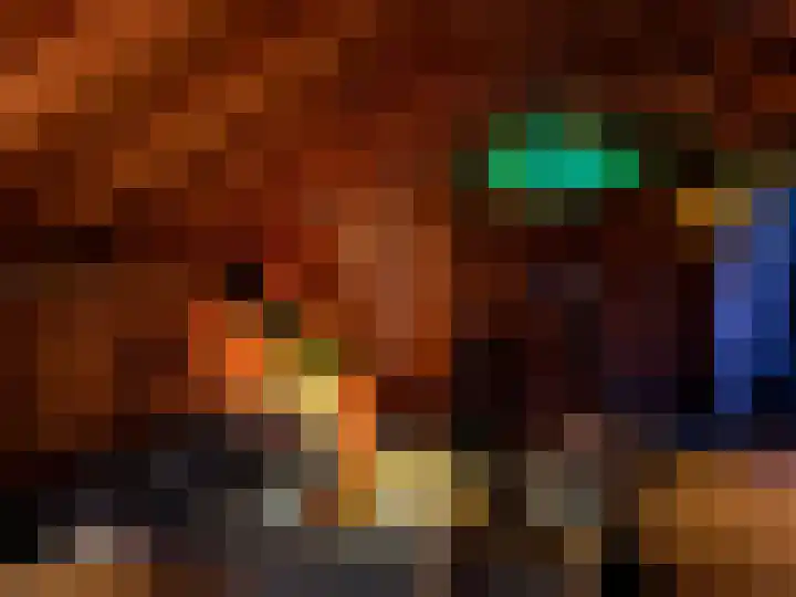 Enkweg 16 Dieren thumbnail 34