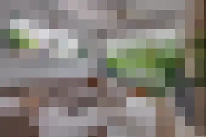 Enkweg 16 Dieren thumbnail 4