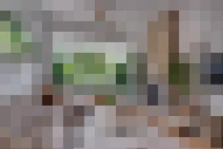 Enkweg 16 Dieren thumbnail 5