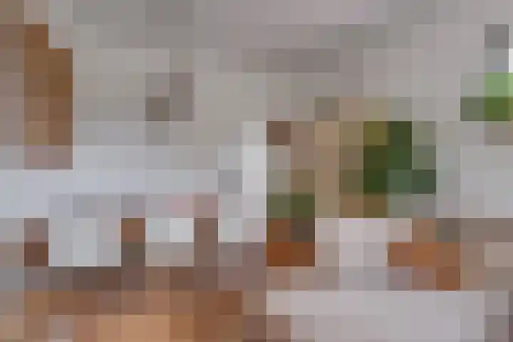 Enkweg 16 Dieren thumbnail 7