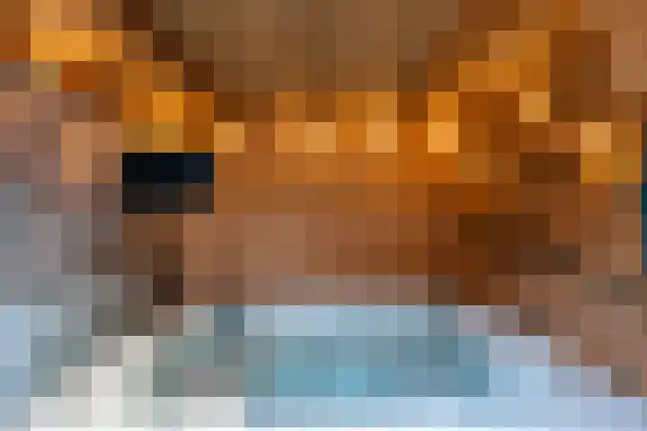 Enkweg 18 Epe thumbnail 27