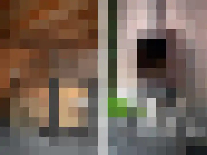 Enkweg 18 Epe thumbnail 31