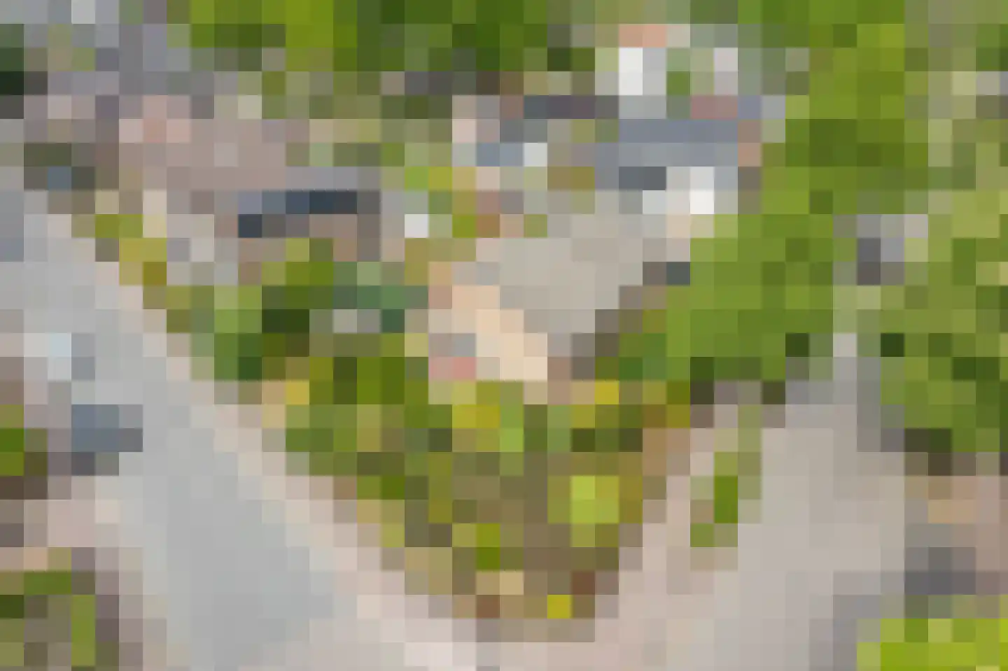 Enkweg 19 Nunspeet thumbnail 10