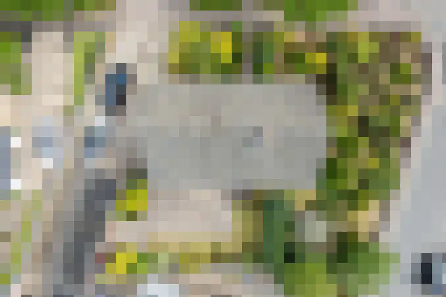 Enkweg 19 Nunspeet thumbnail 11