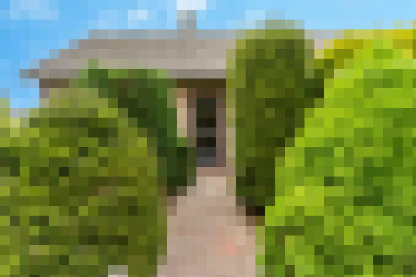 Enkweg 19 Nunspeet thumbnail 12