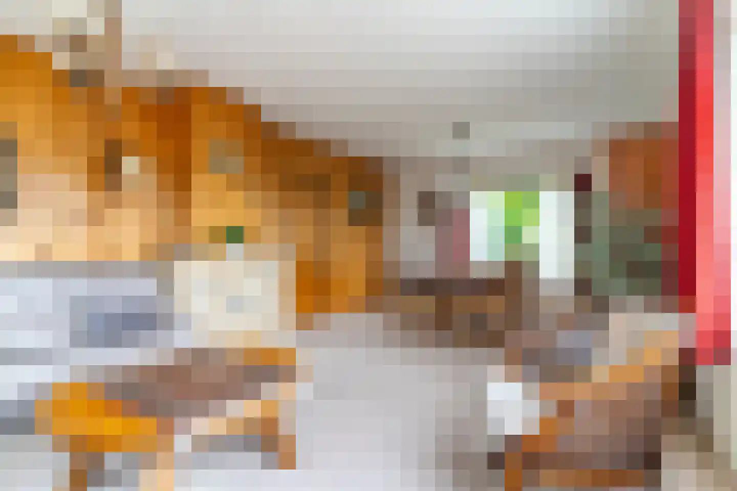 Enkweg 19 Nunspeet thumbnail 16