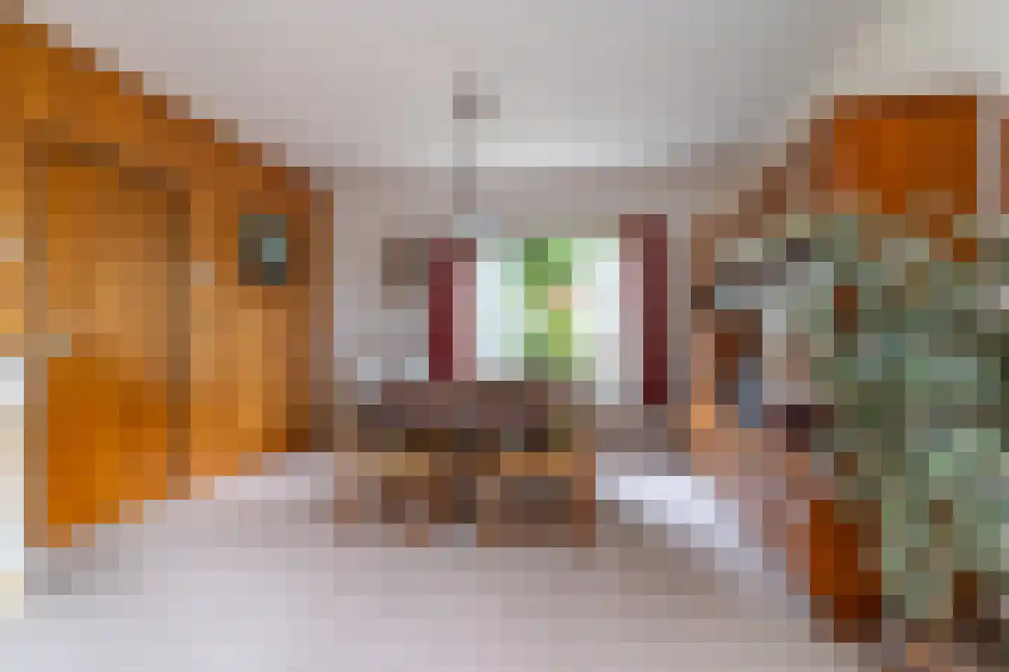 Enkweg 19 Nunspeet thumbnail 17