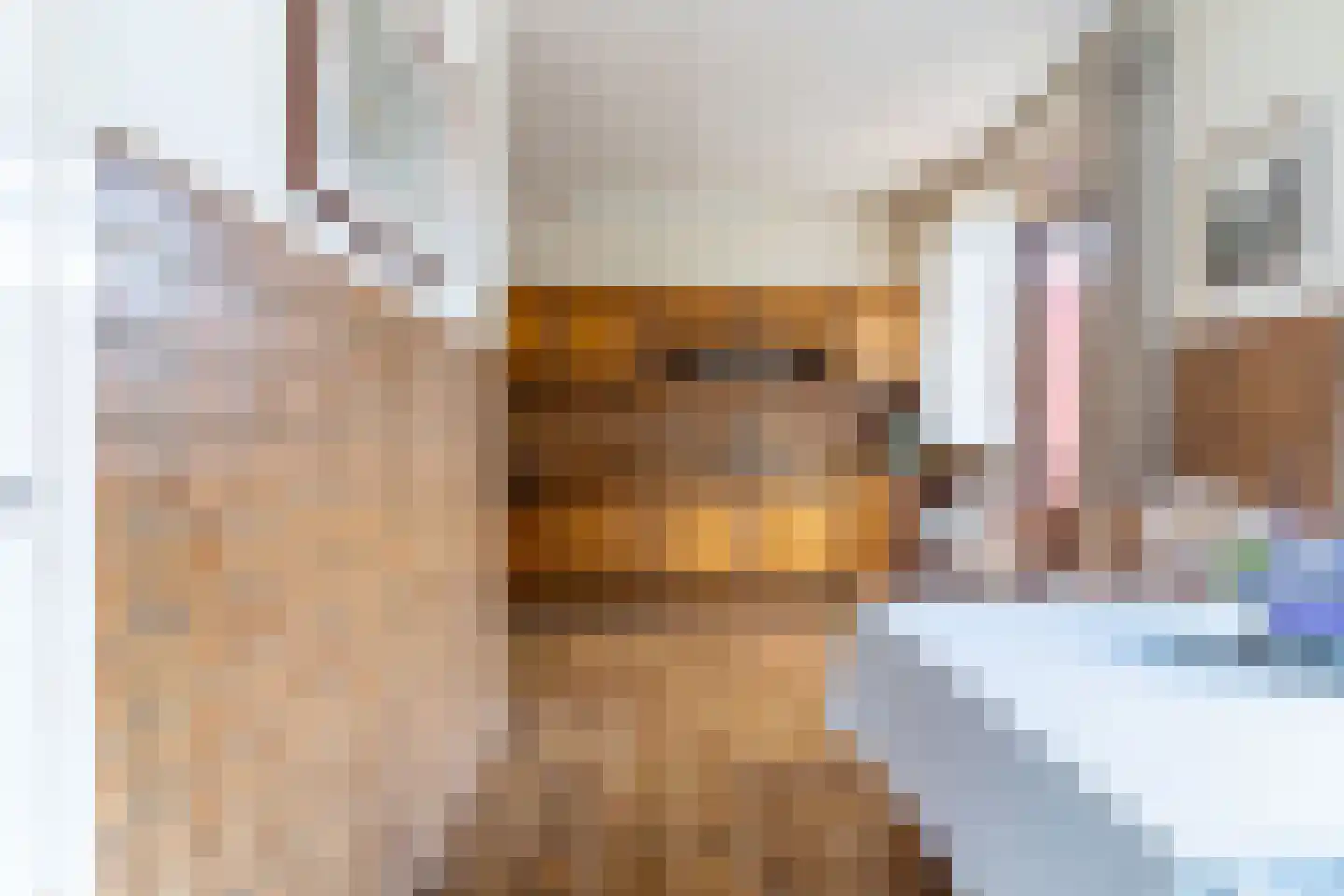 Enkweg 19 Nunspeet thumbnail 24