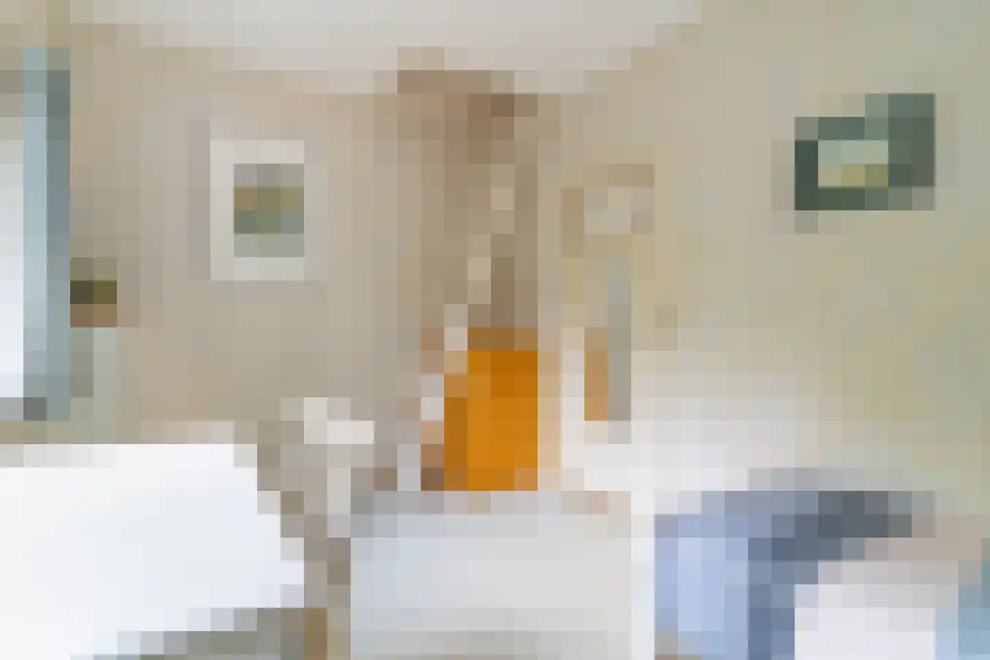 Enkweg 19 Nunspeet thumbnail 31