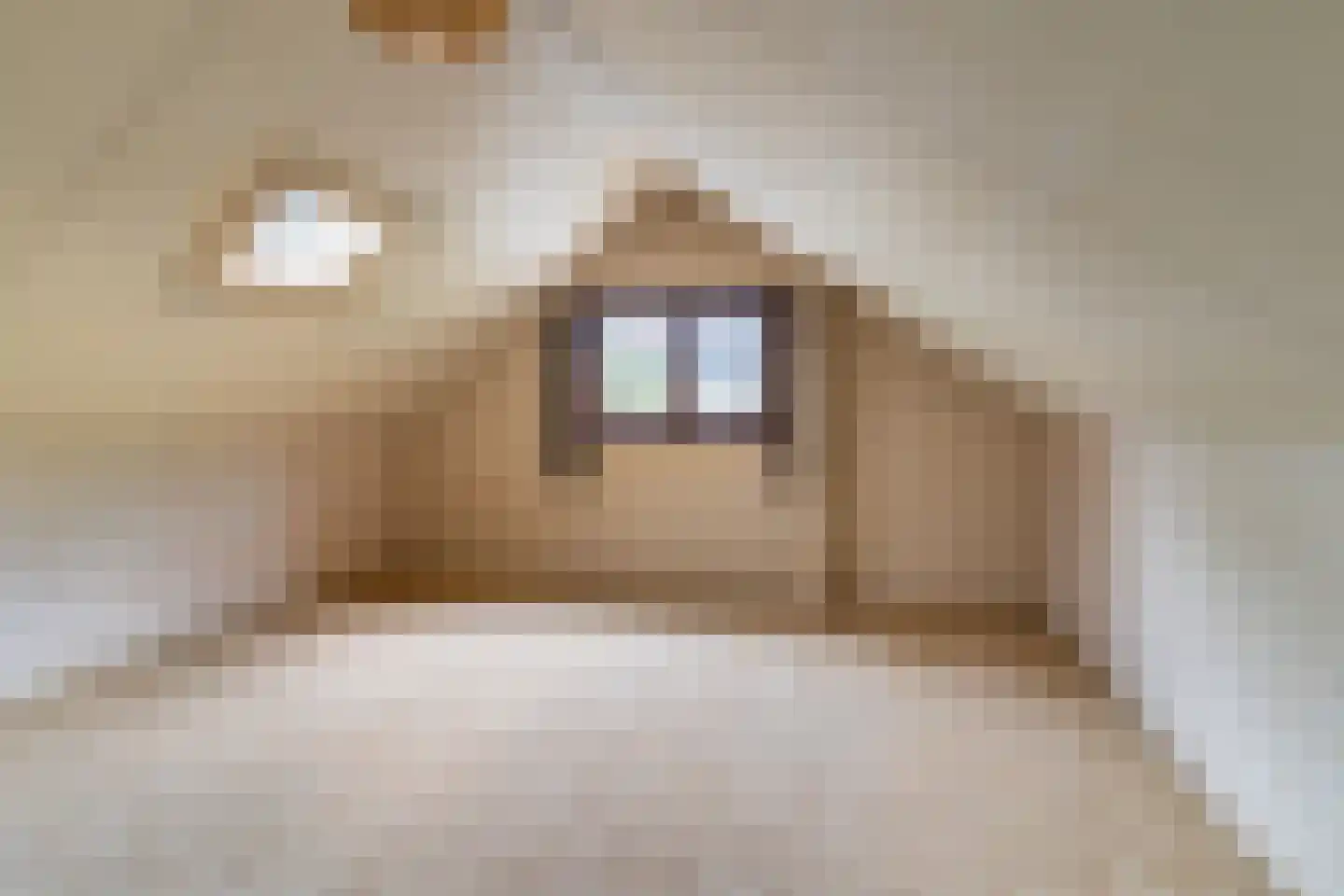 Enkweg 19 Nunspeet thumbnail 32