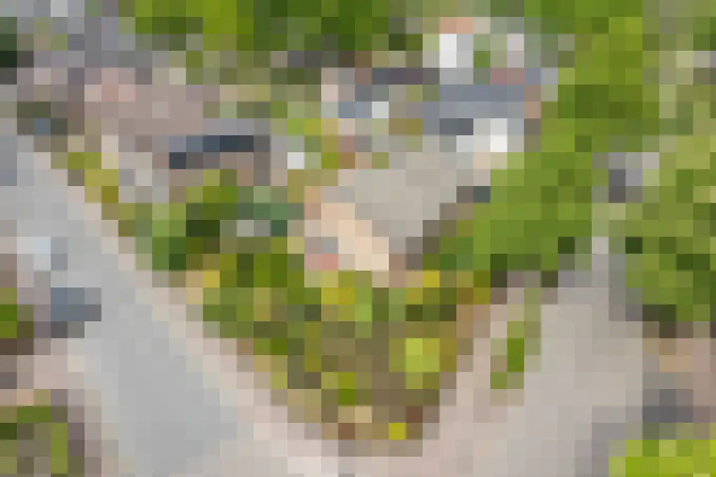 Enkweg 19 Nunspeet thumbnail 4