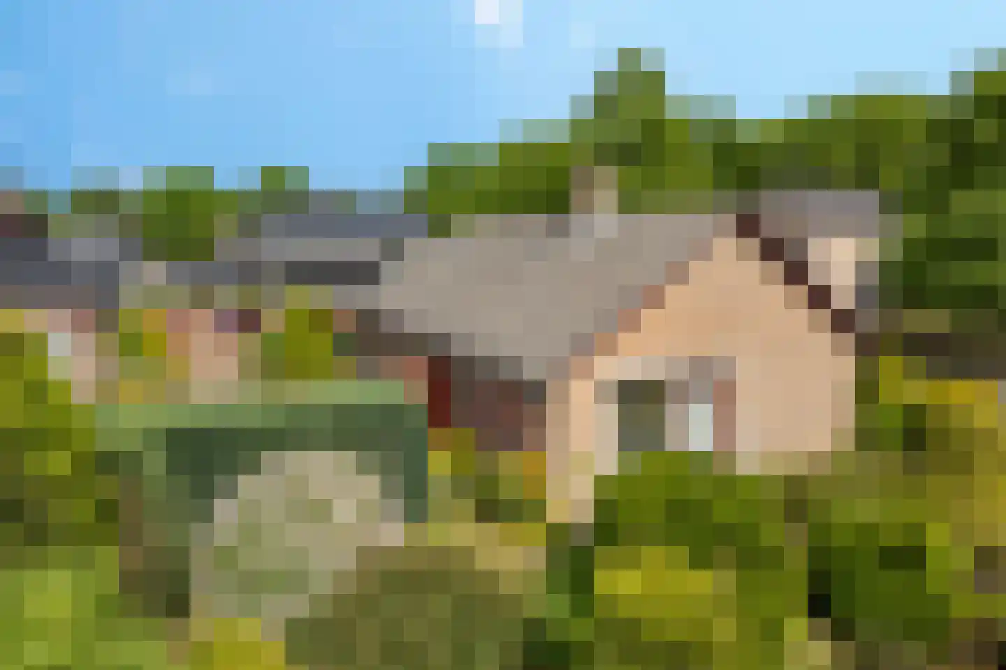 Enkweg 19 Nunspeet thumbnail 40