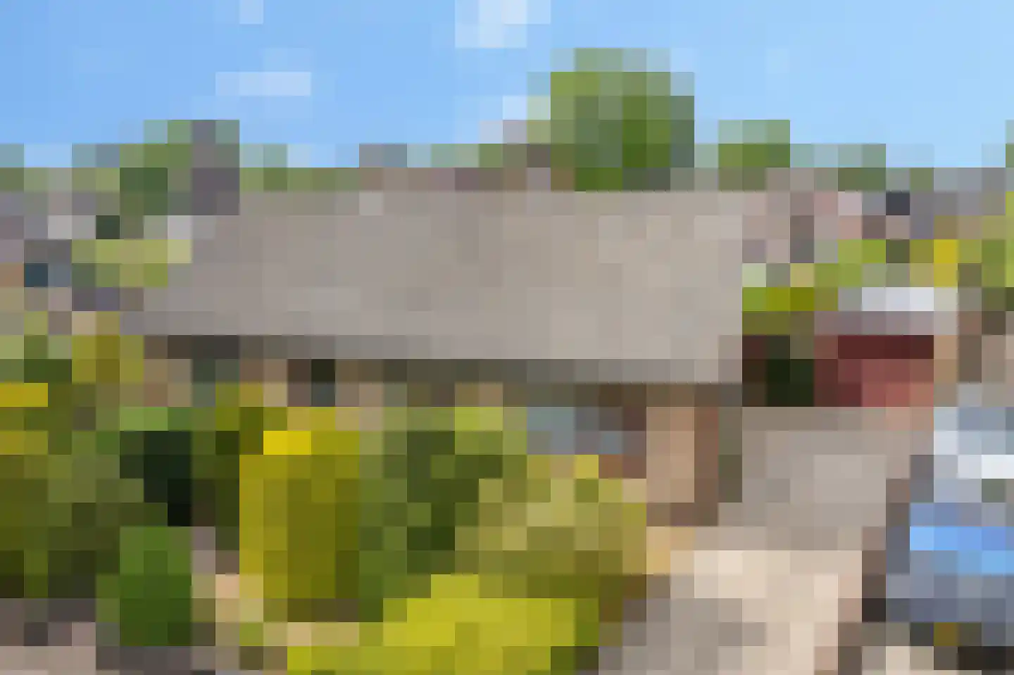 Enkweg 19 Nunspeet thumbnail 6