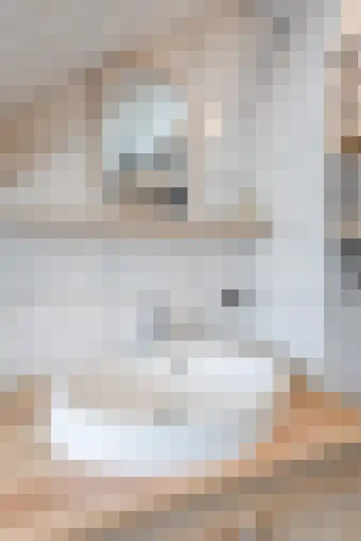 Enkweg 19 Voorst thumbnail 32